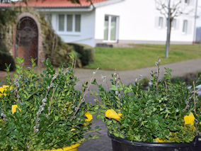 Palmsonntag in Heilig Kreuz